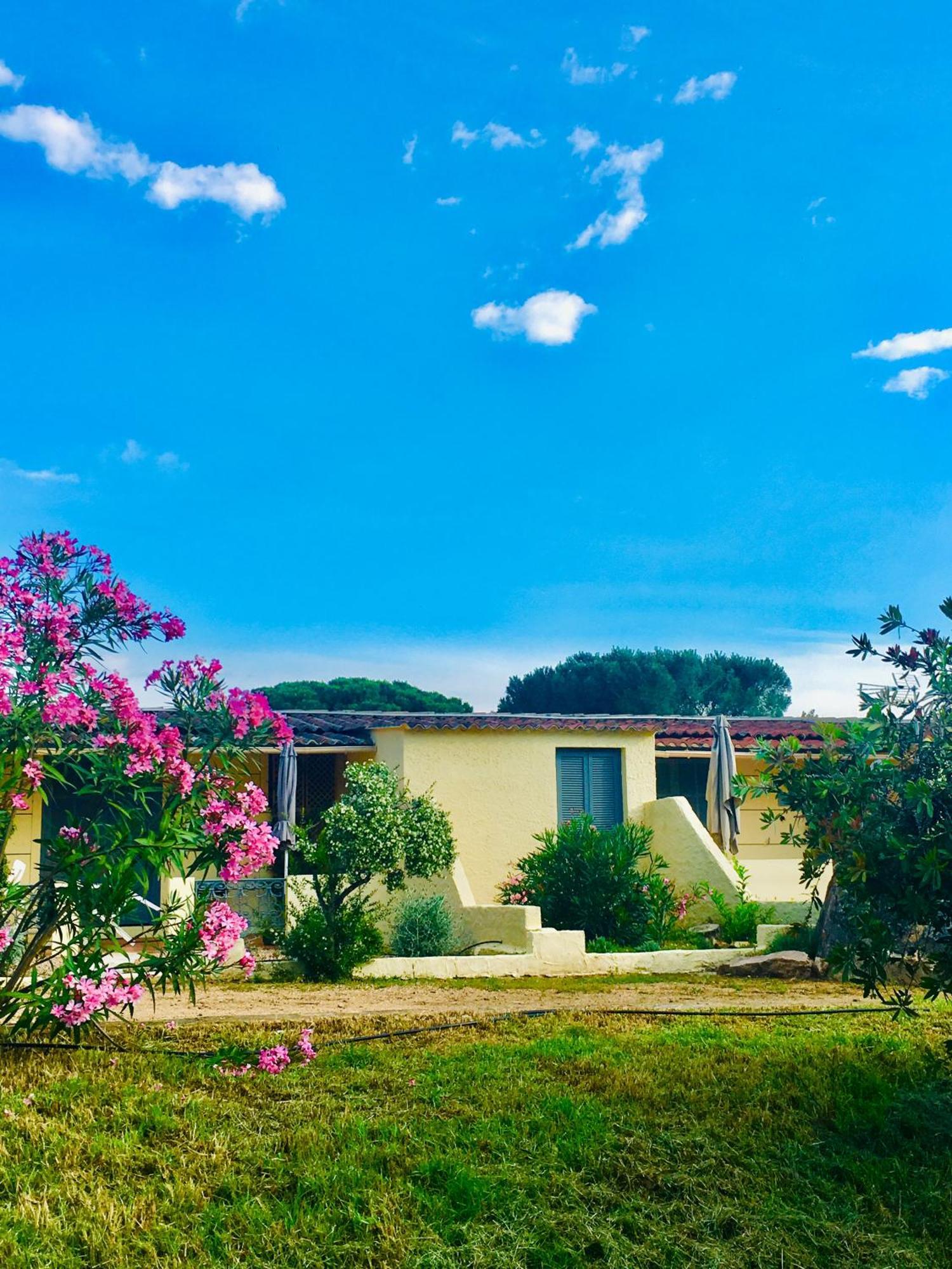 Bungalows Filippi Porto-Vecchio  Exterior photo